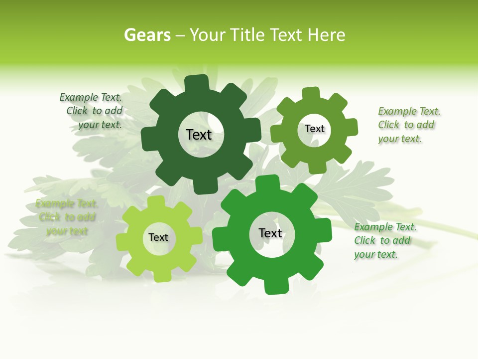 Leaf Healthy Parsley PowerPoint Template