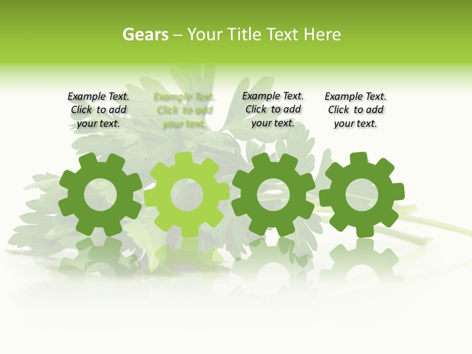 Leaf Healthy Parsley PowerPoint Template