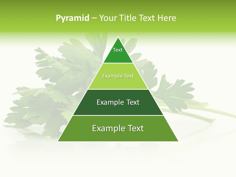 Leaf Healthy Parsley PowerPoint Template