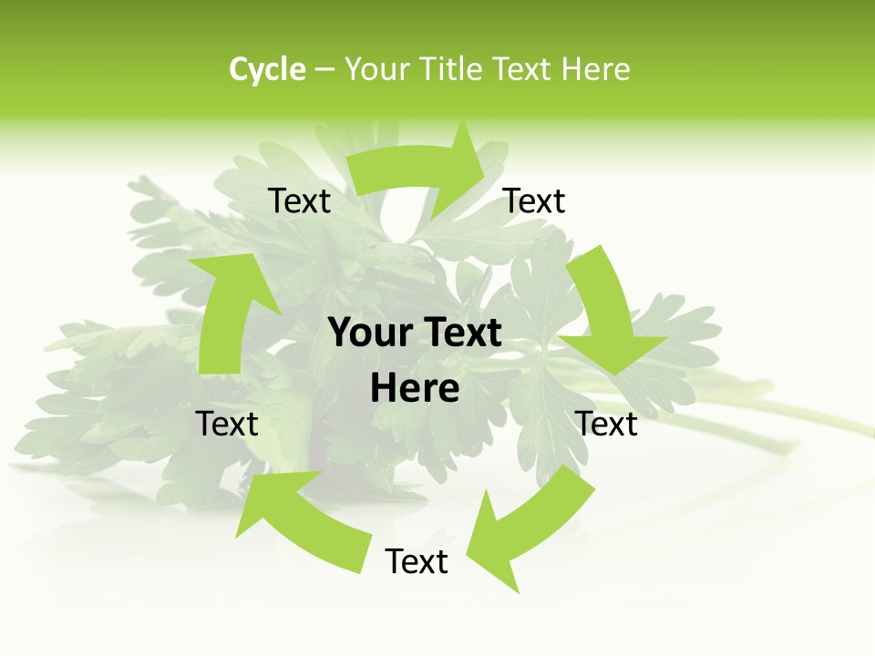 Leaf Healthy Parsley PowerPoint Template