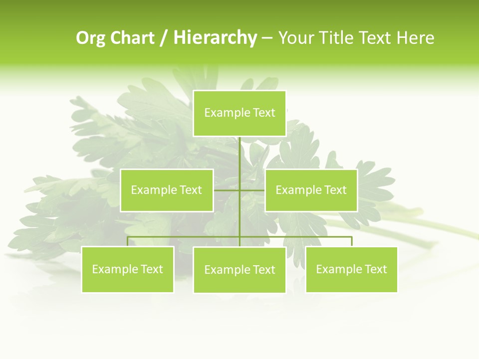 Leaf Healthy Parsley PowerPoint Template