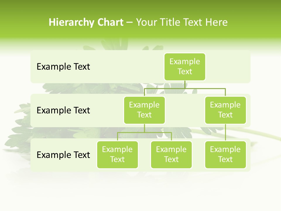 Leaf Healthy Parsley PowerPoint Template