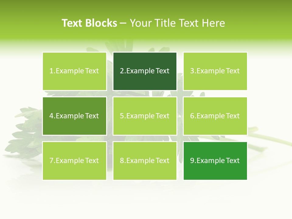 Leaf Healthy Parsley PowerPoint Template