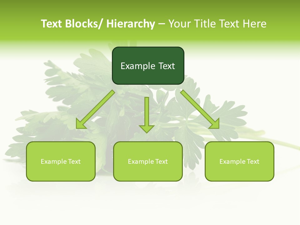 Leaf Healthy Parsley PowerPoint Template