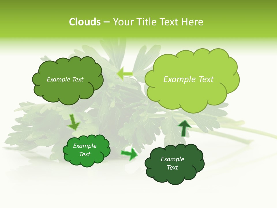 Leaf Healthy Parsley PowerPoint Template