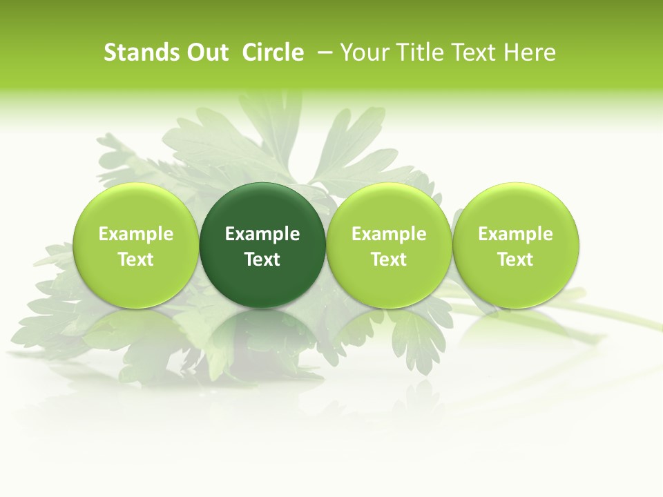 Leaf Healthy Parsley PowerPoint Template
