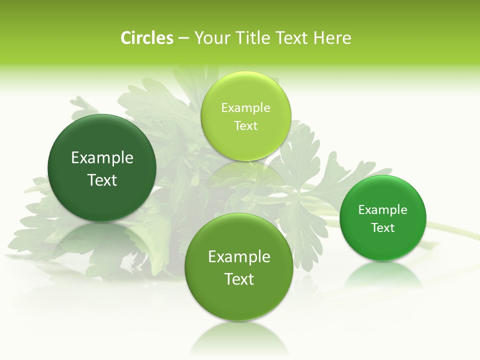 Leaf Healthy Parsley PowerPoint Template