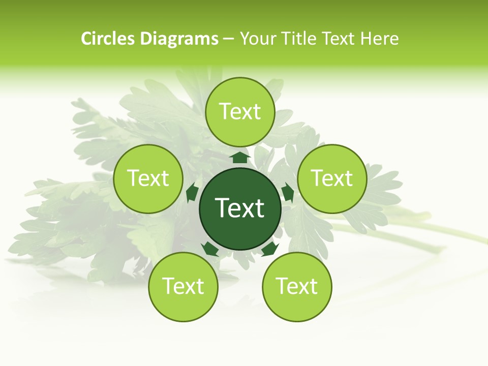 Leaf Healthy Parsley PowerPoint Template