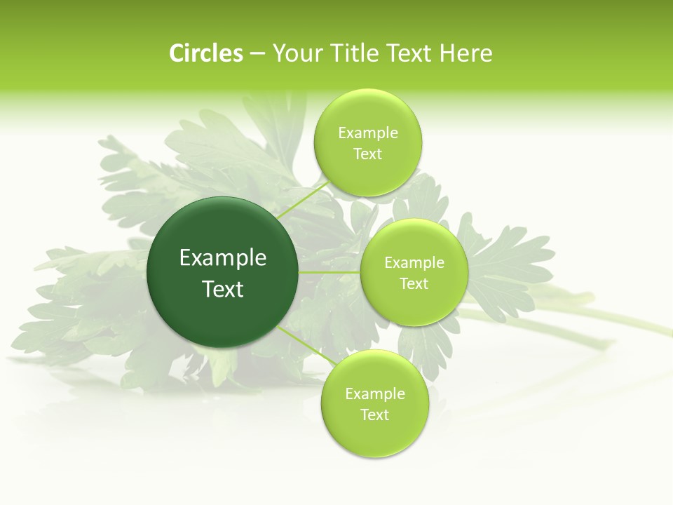 Leaf Healthy Parsley PowerPoint Template