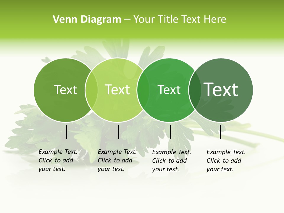 Leaf Healthy Parsley PowerPoint Template
