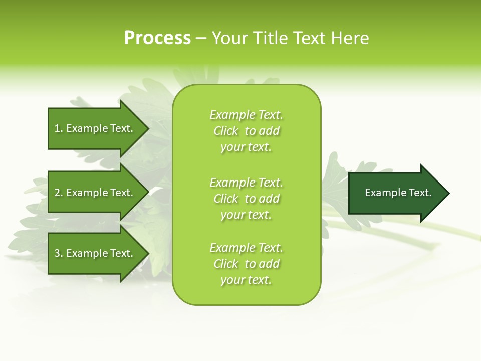 Leaf Healthy Parsley PowerPoint Template