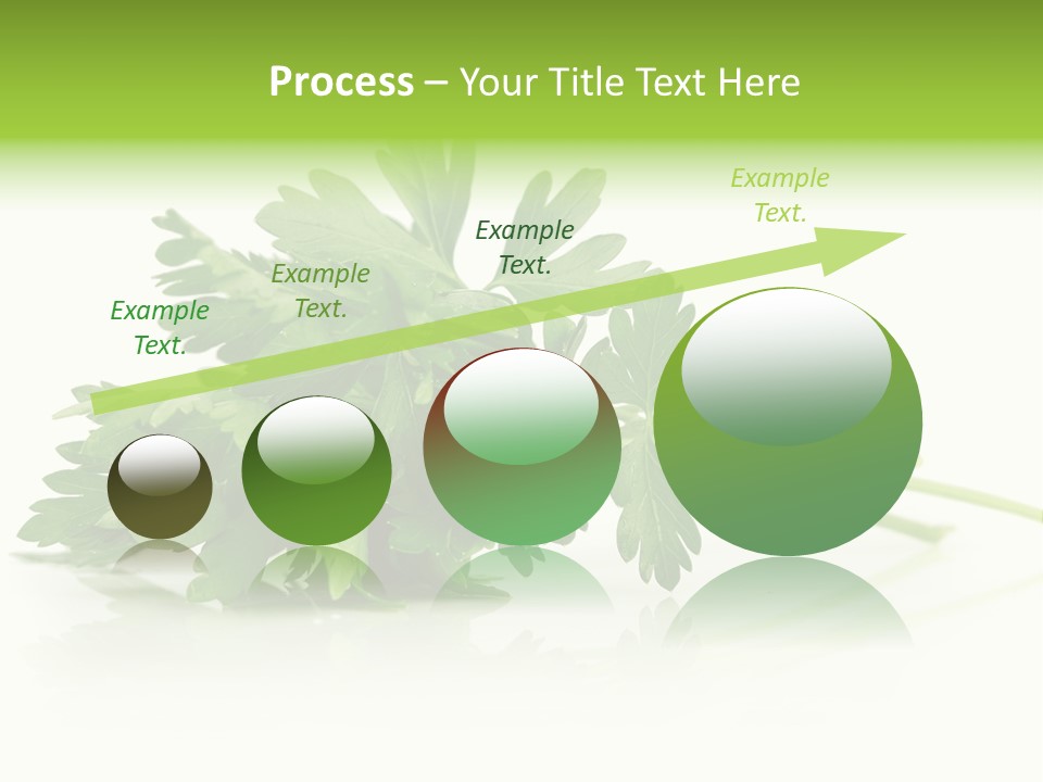 Leaf Healthy Parsley PowerPoint Template