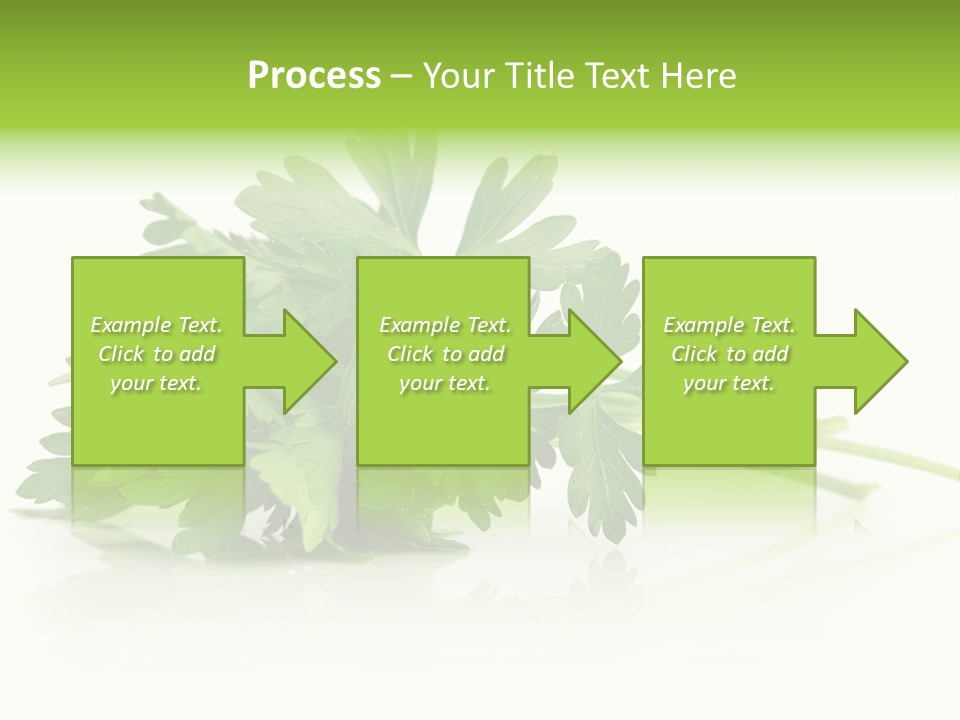 Leaf Healthy Parsley PowerPoint Template