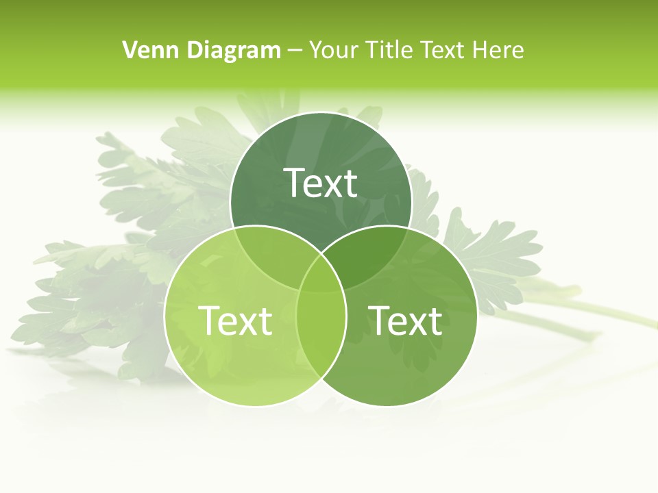 Leaf Healthy Parsley PowerPoint Template
