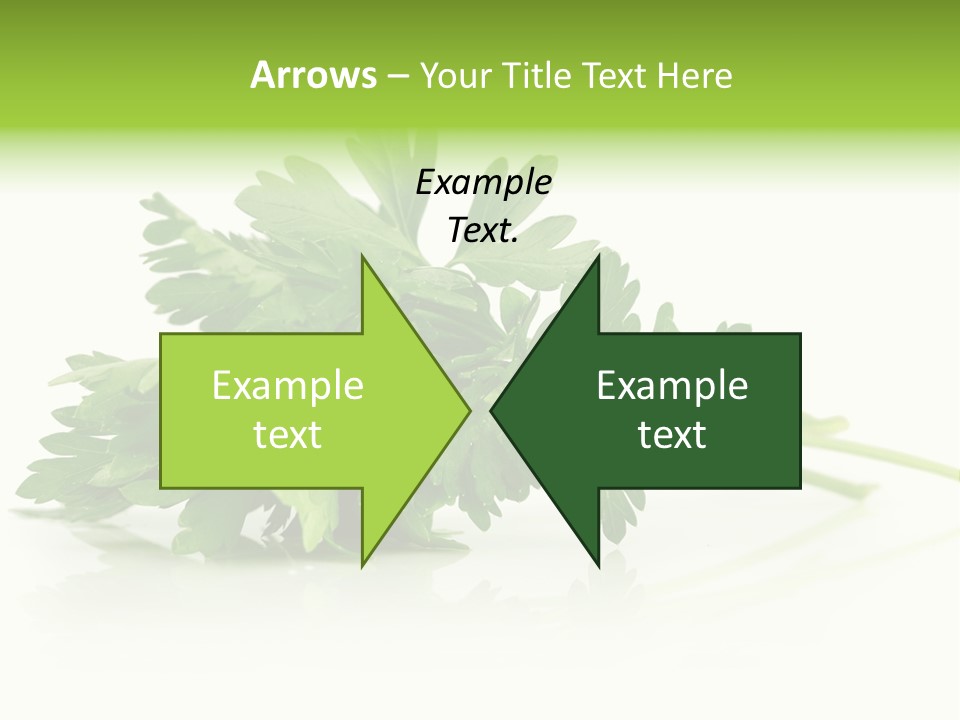 Leaf Healthy Parsley PowerPoint Template