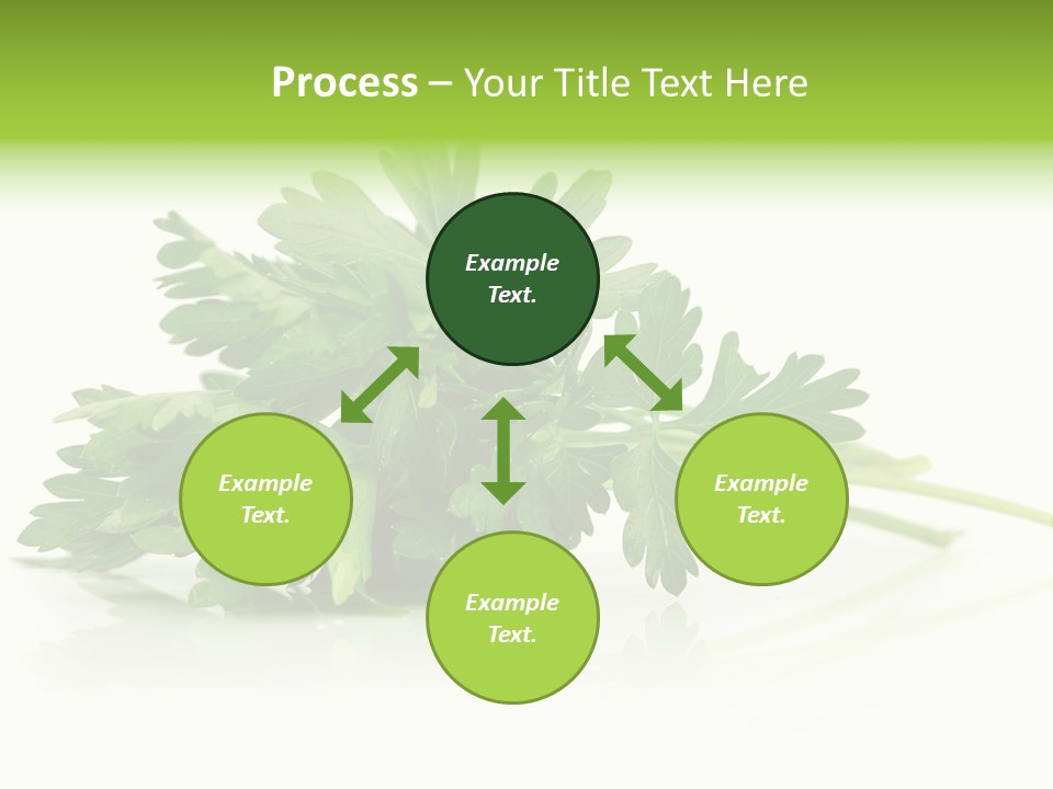 Leaf Healthy Parsley PowerPoint Template