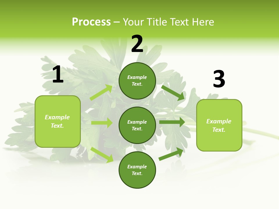 Leaf Healthy Parsley PowerPoint Template