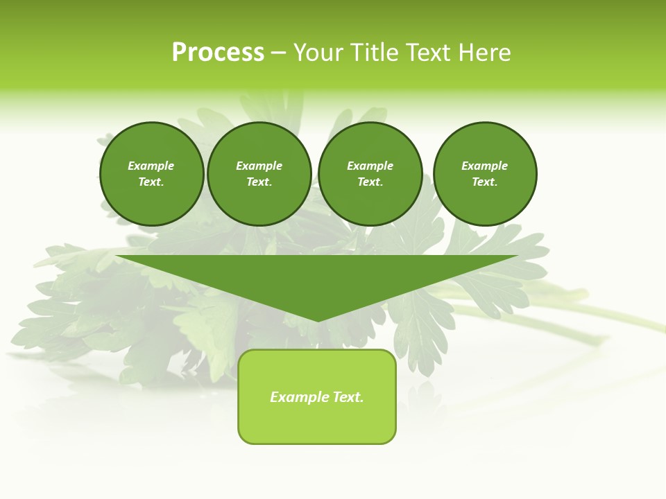 Leaf Healthy Parsley PowerPoint Template