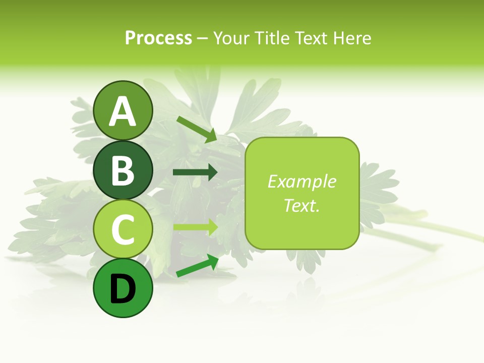 Leaf Healthy Parsley PowerPoint Template