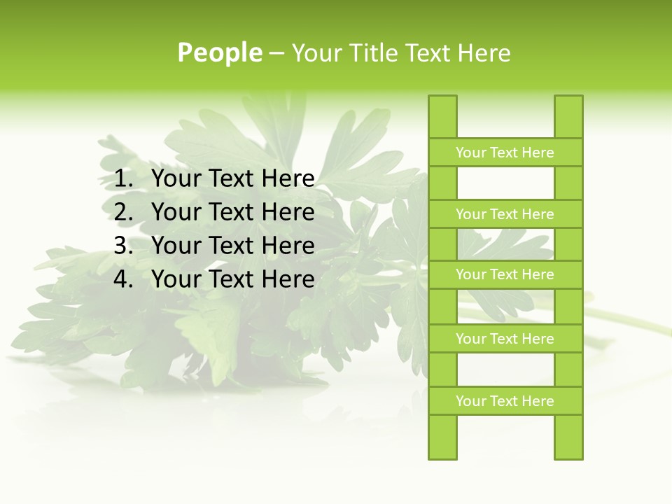 Leaf Healthy Parsley PowerPoint Template