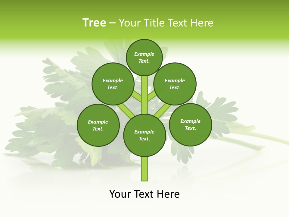 Leaf Healthy Parsley PowerPoint Template