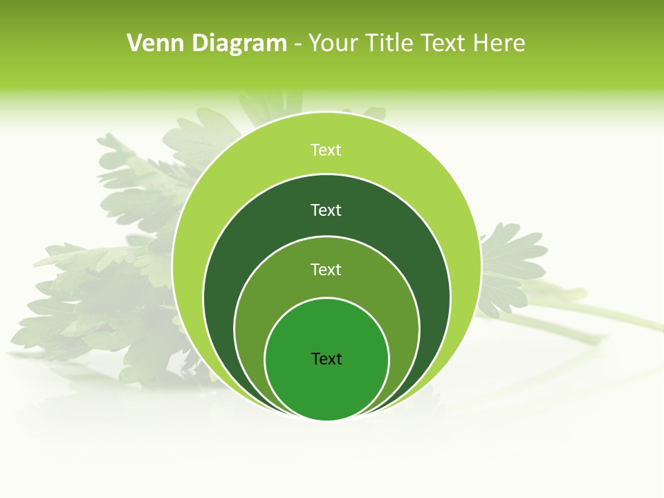 Leaf Healthy Parsley PowerPoint Template
