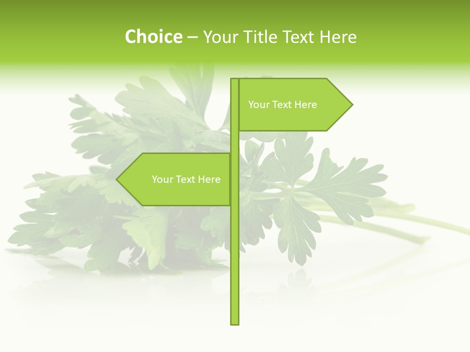 Leaf Healthy Parsley PowerPoint Template