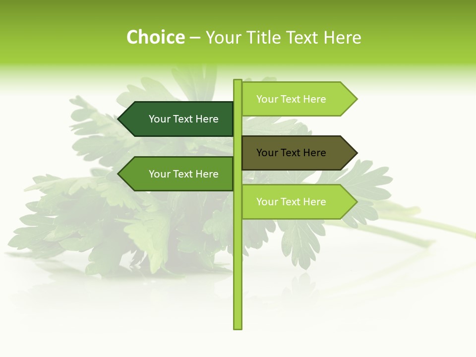 Leaf Healthy Parsley PowerPoint Template