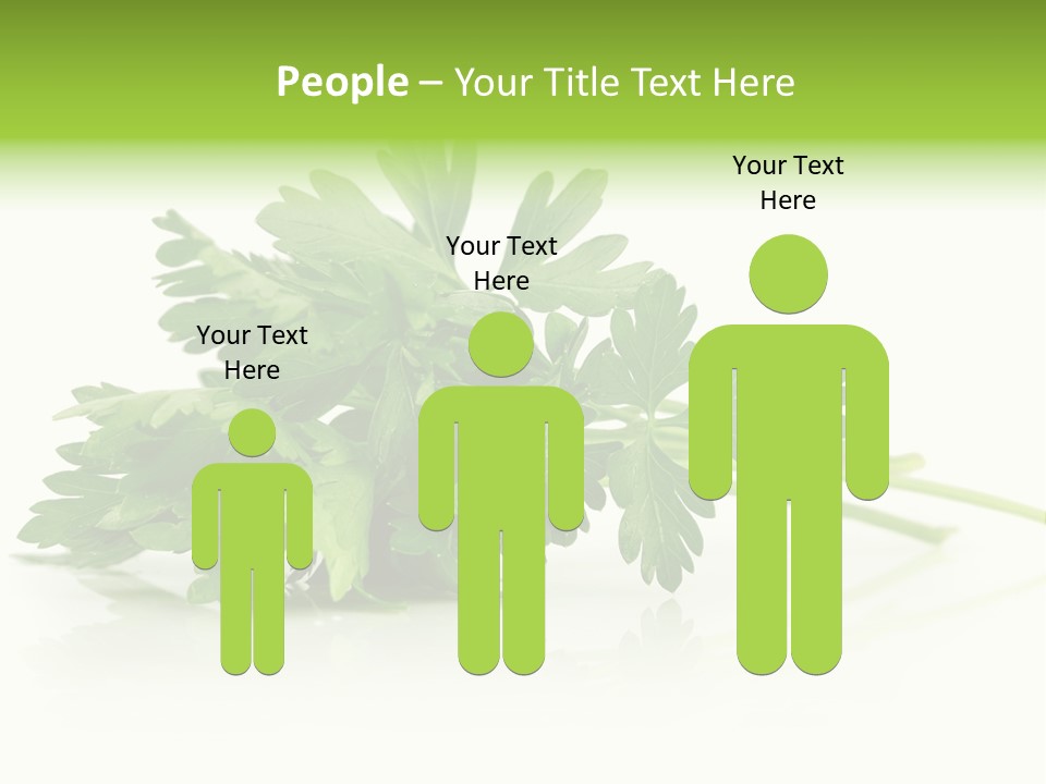 Leaf Healthy Parsley PowerPoint Template