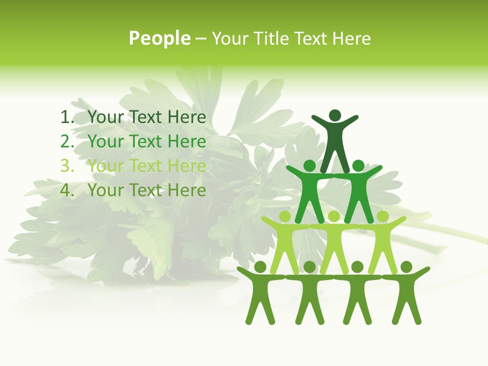 Leaf Healthy Parsley PowerPoint Template