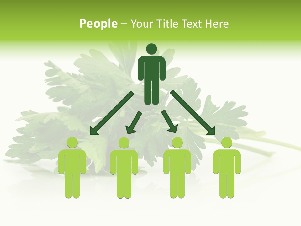 Leaf Healthy Parsley PowerPoint Template
