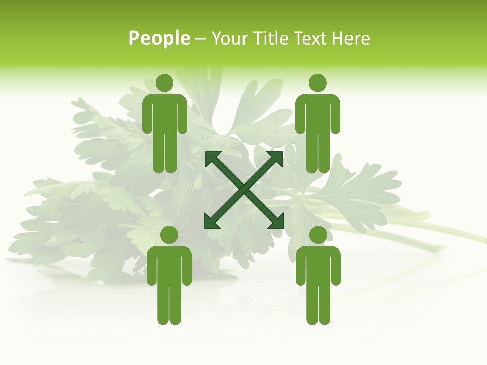 Leaf Healthy Parsley PowerPoint Template