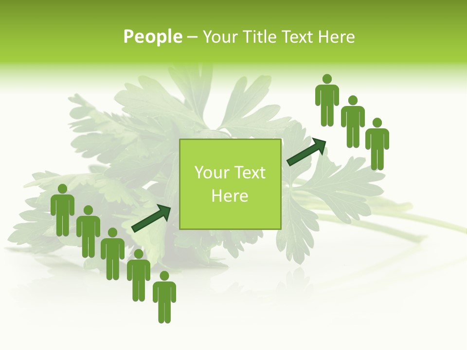Leaf Healthy Parsley PowerPoint Template