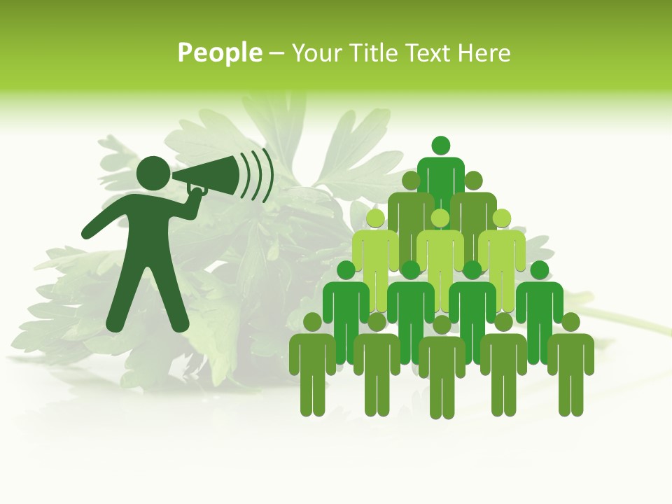 Leaf Healthy Parsley PowerPoint Template