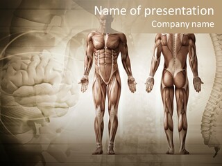 Stomach Injury Posture PowerPoint Template