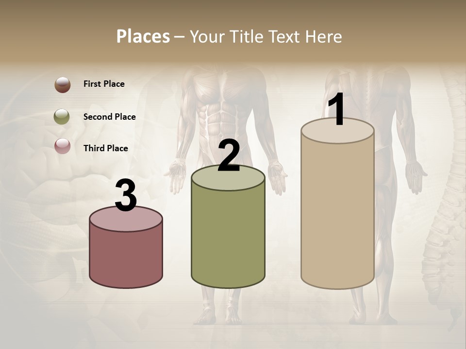 Stomach Injury Posture PowerPoint Template