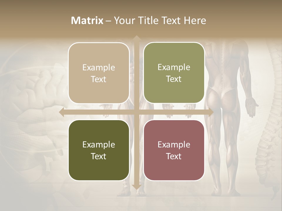 Stomach Injury Posture PowerPoint Template