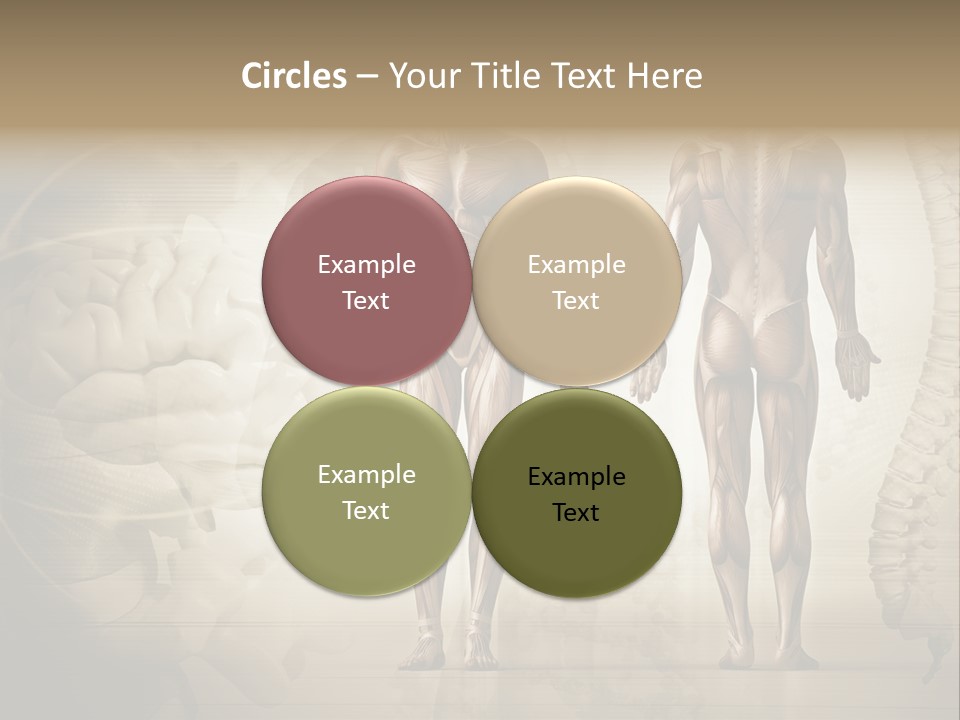 Stomach Injury Posture PowerPoint Template