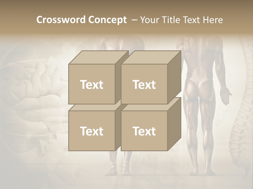 Stomach Injury Posture PowerPoint Template