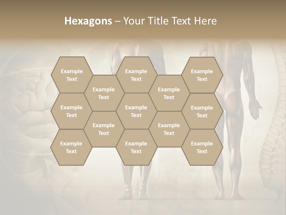 Stomach Injury Posture PowerPoint Template