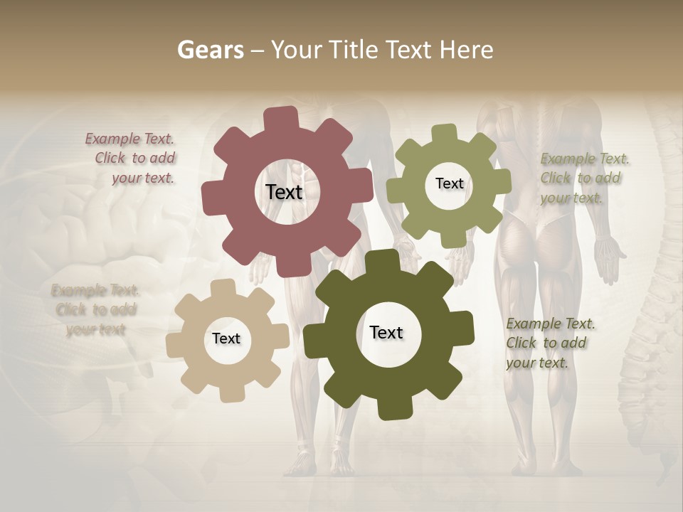 Stomach Injury Posture PowerPoint Template