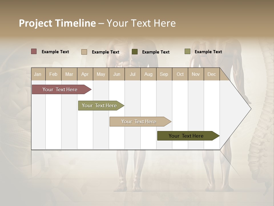 Stomach Injury Posture PowerPoint Template