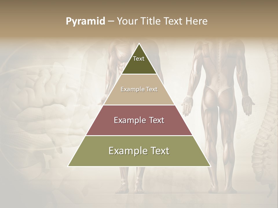 Stomach Injury Posture PowerPoint Template