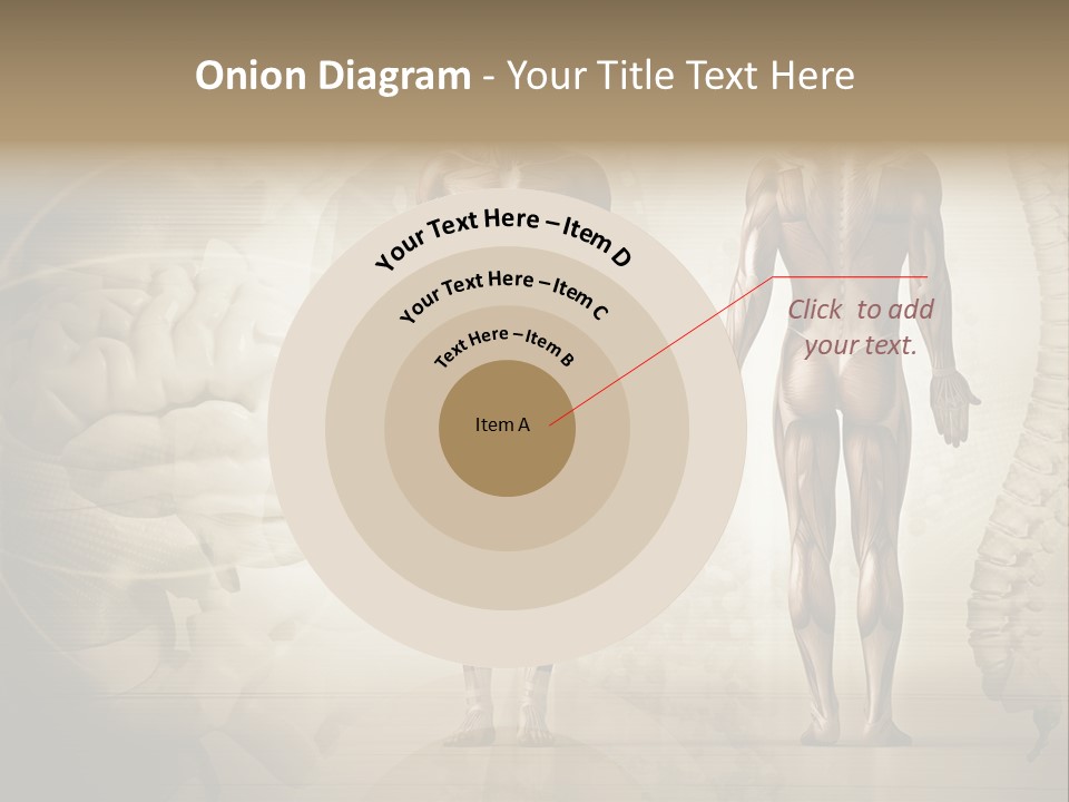 Stomach Injury Posture PowerPoint Template