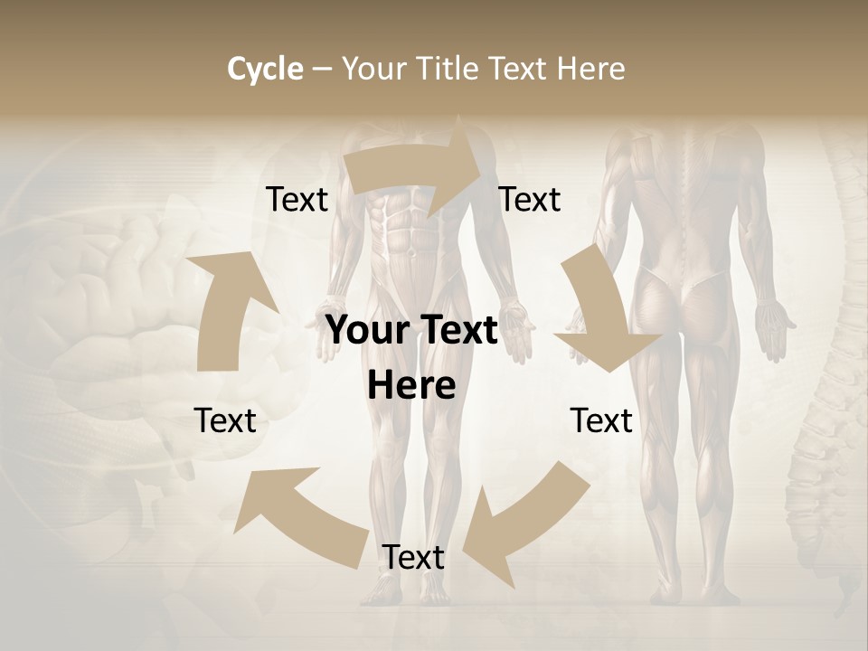 Stomach Injury Posture PowerPoint Template