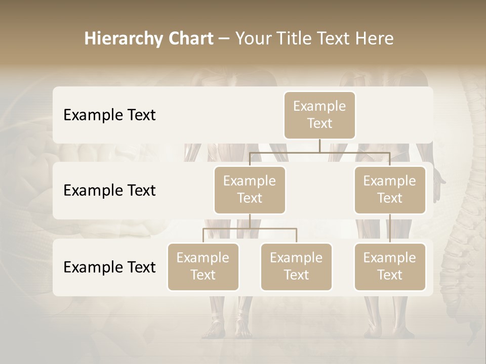 Stomach Injury Posture PowerPoint Template
