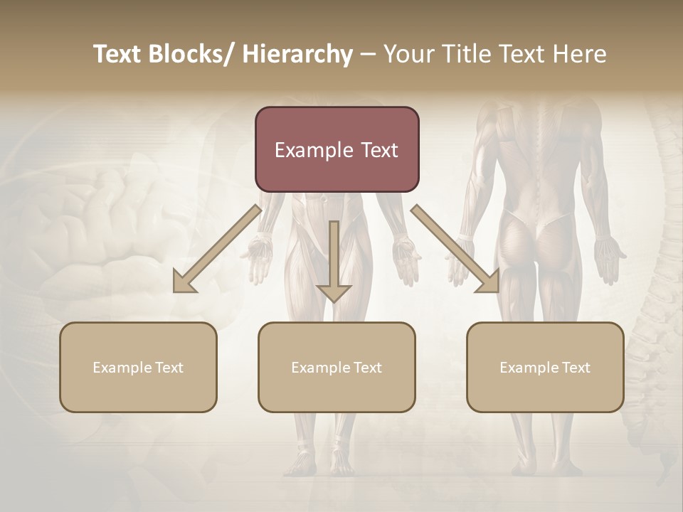 Stomach Injury Posture PowerPoint Template