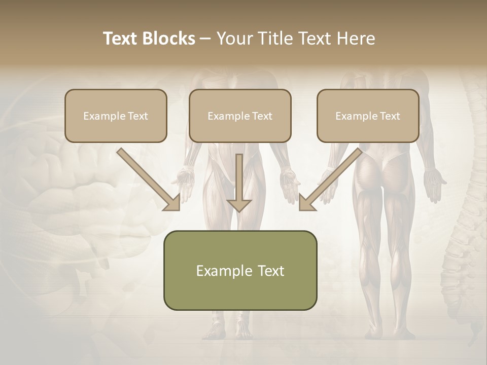 Stomach Injury Posture PowerPoint Template