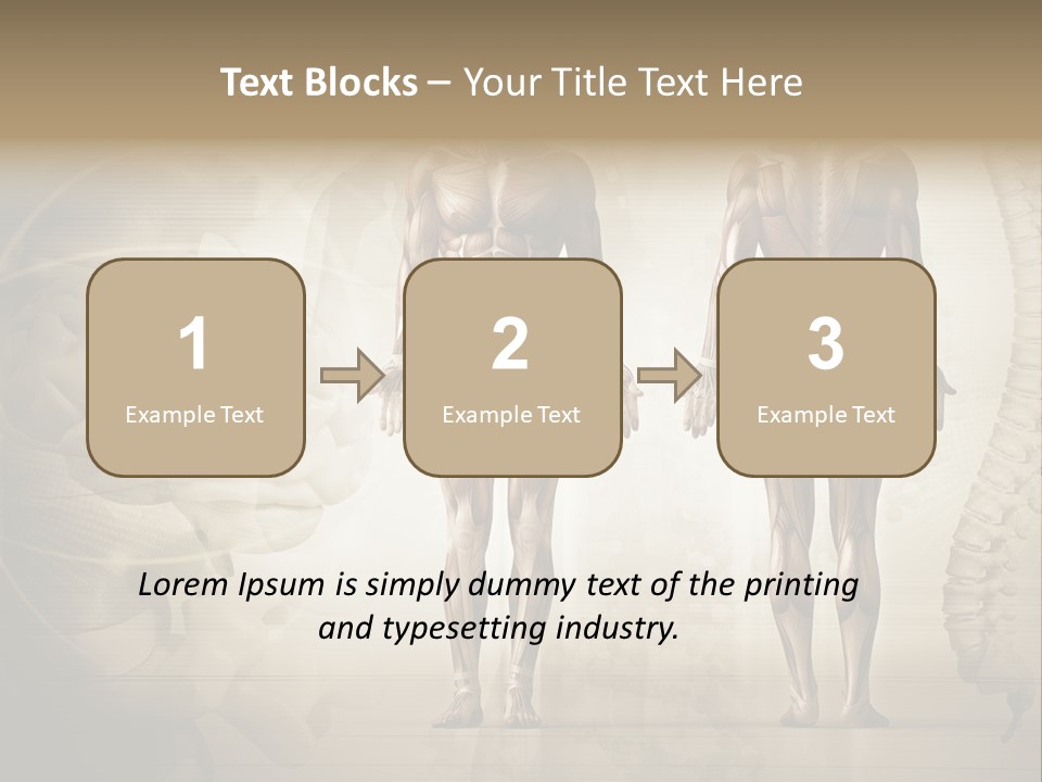 Stomach Injury Posture PowerPoint Template