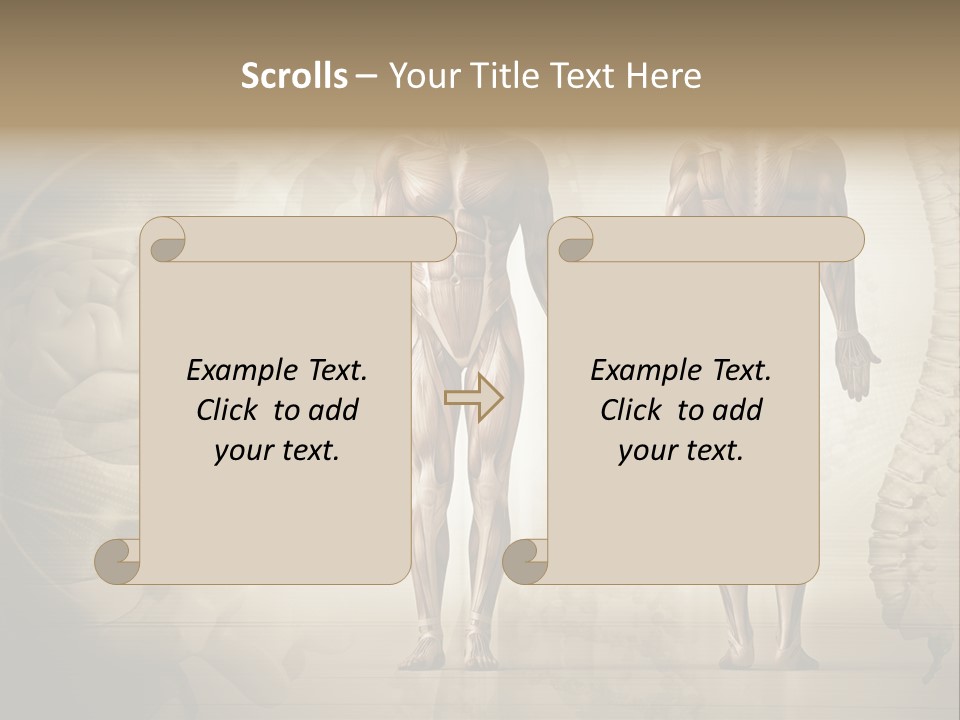 Stomach Injury Posture PowerPoint Template